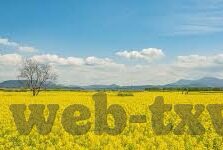 国产精品麻豆av-精品之选，国产影视魅力绽放